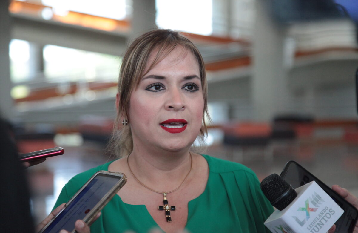 CONGRESO DEL ESTADO PREPARA CONVOCATORIA A PERSONAS CON DISCAPACIDAD PARA REALIZAR LA CONSULTA SOBRE DIVERSOS TEMAS: DIP. YOLANDA CEPEDA ECHAVARRÍA