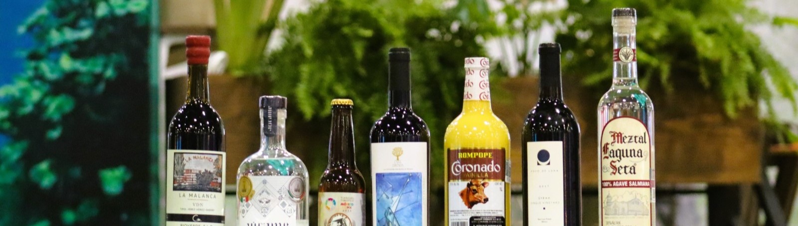ESTADO IMPULSA VINOS, RONES Y MEZCALES POTOSINOS EN EL MERCADO GLOBAL